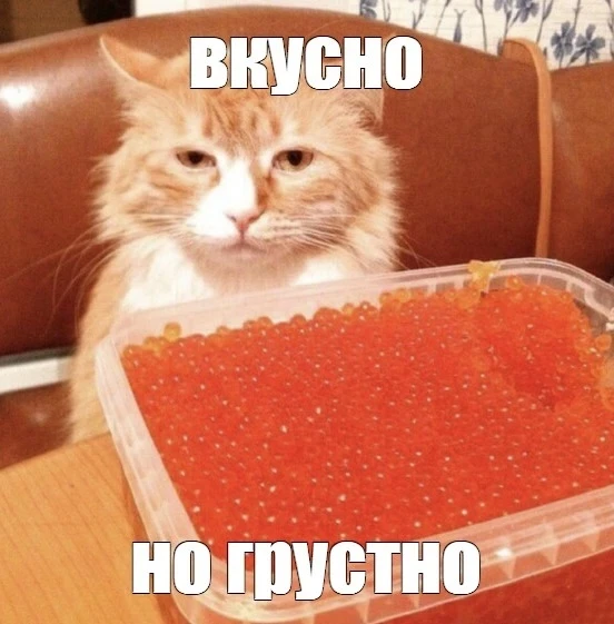 🐟 Красная икра может подорожать до 40 000₽