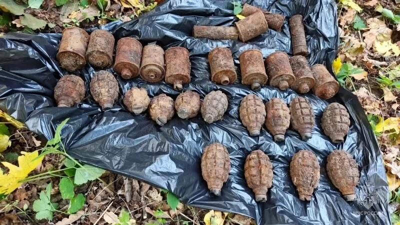 🔫25 боеприпасов времён Великой Отечественной войны обезвредили  взрывотехники МЧС.