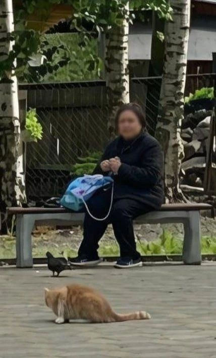 61-летняя пенсионерка каталась по городам и забирала миллионы, побывала она и в Петроза...