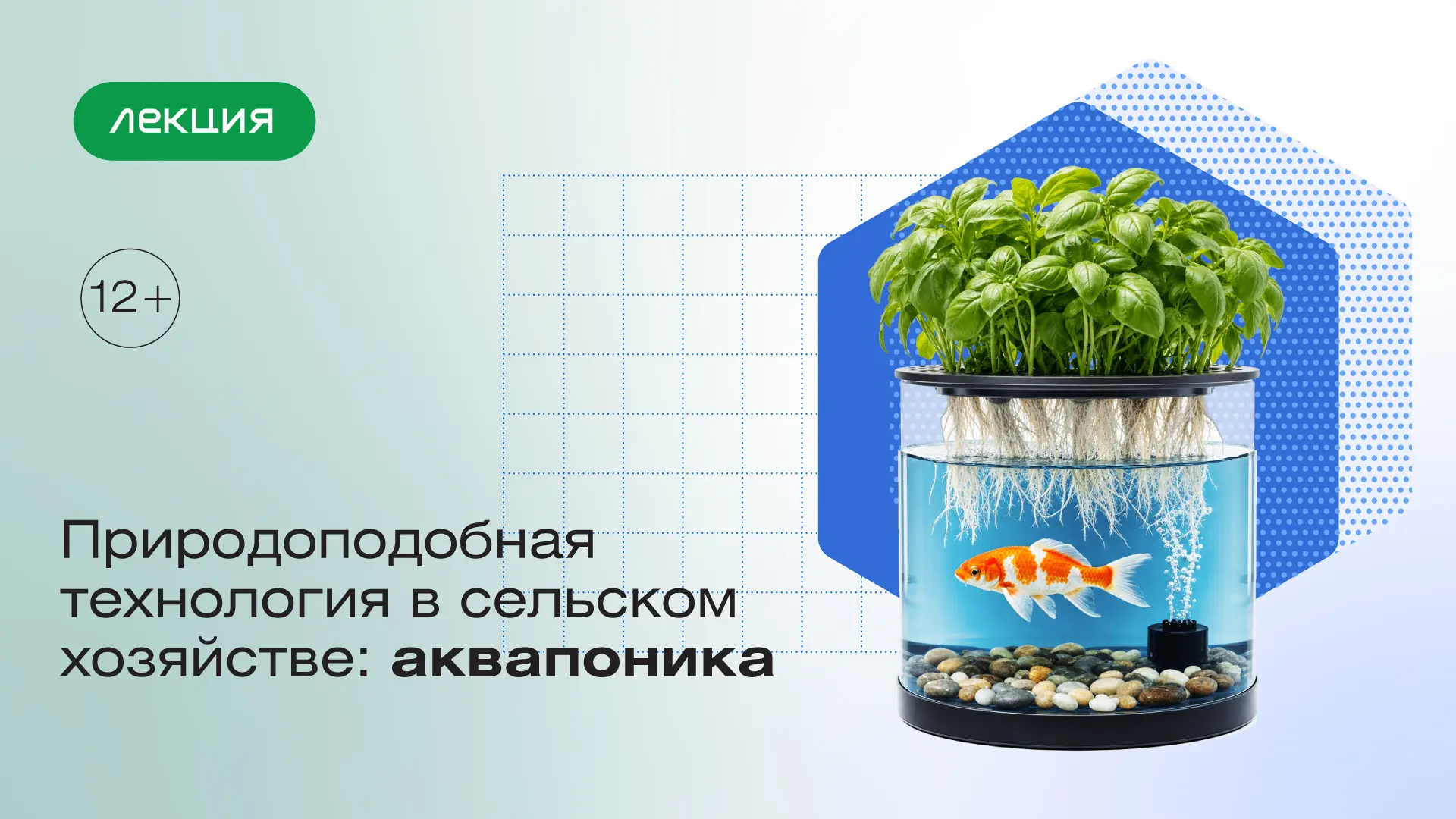 Сегодня в 15:00 начнётся онлайн-лекция «Природоподобная технология в сельском хозяйстве...