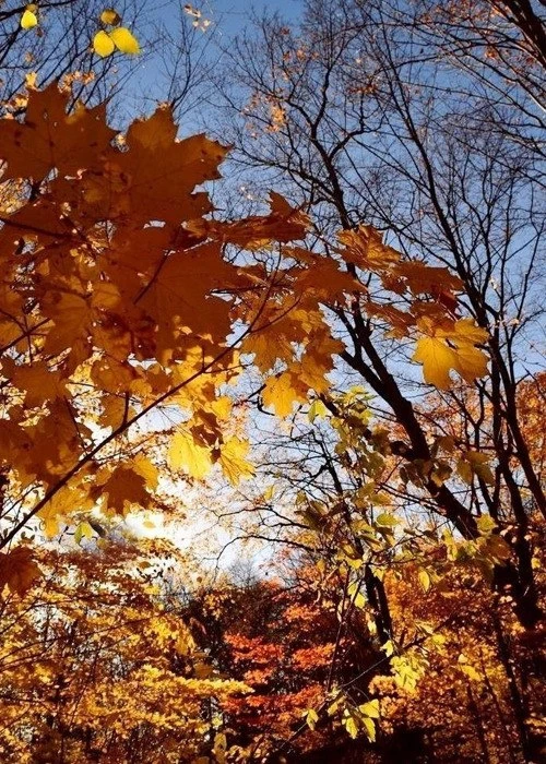 🍂 Не грусти о тепле