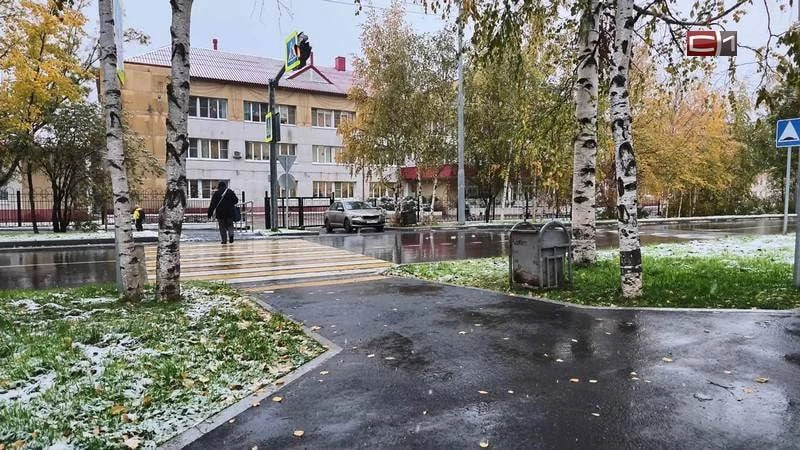 В Сургуте завершили обустройство безопасного подхода к школам и детским садам 🏛️