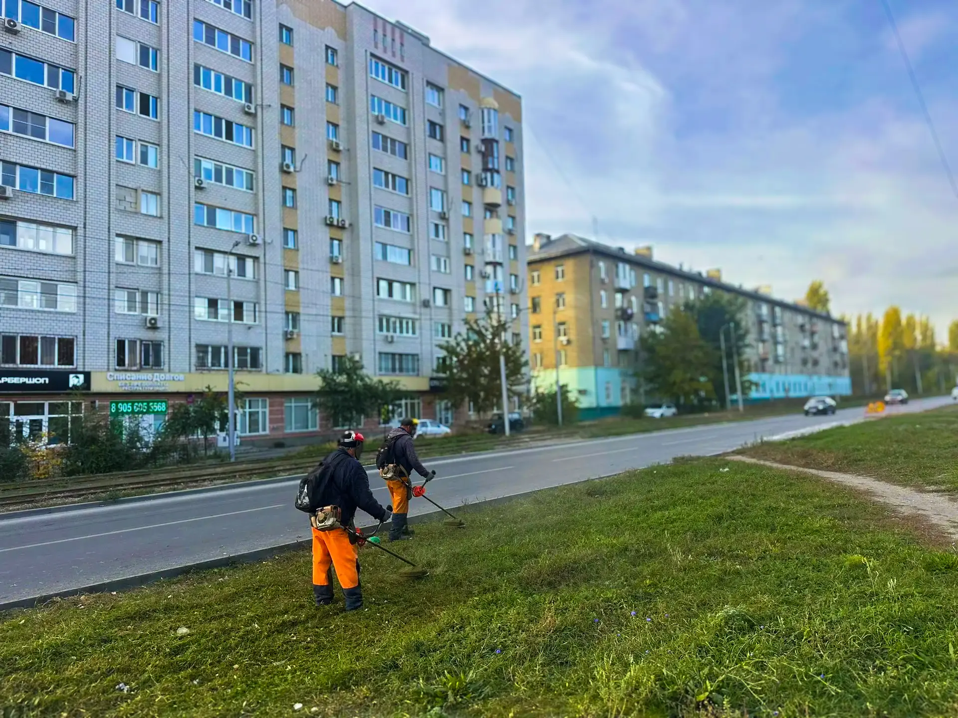 🌱 Поддерживаем порядок на зелёных территориях района