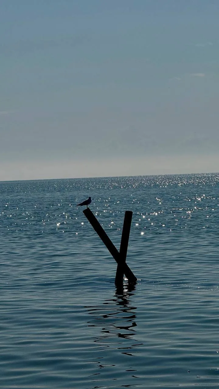 🌊 Мариуполь и Азовское море