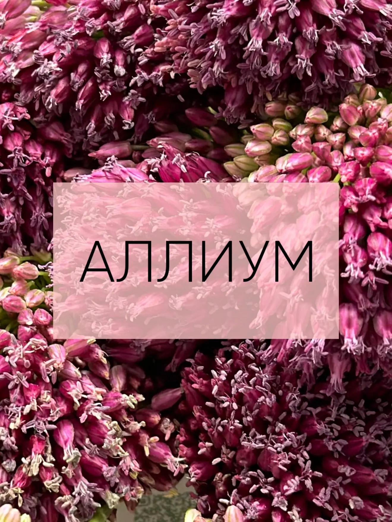 АРОМАТНЫЙ , ВДОХНОВЕНИЕ 🤍
