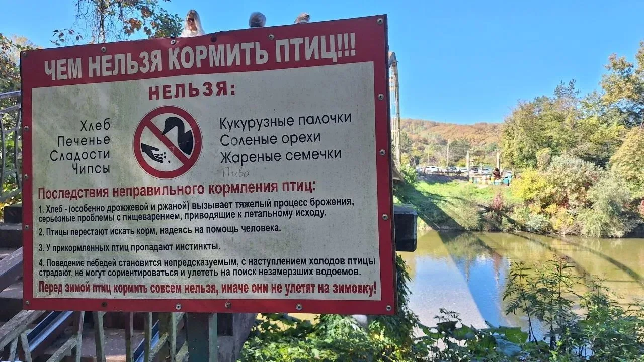 🤪Птицам пиво не наливать