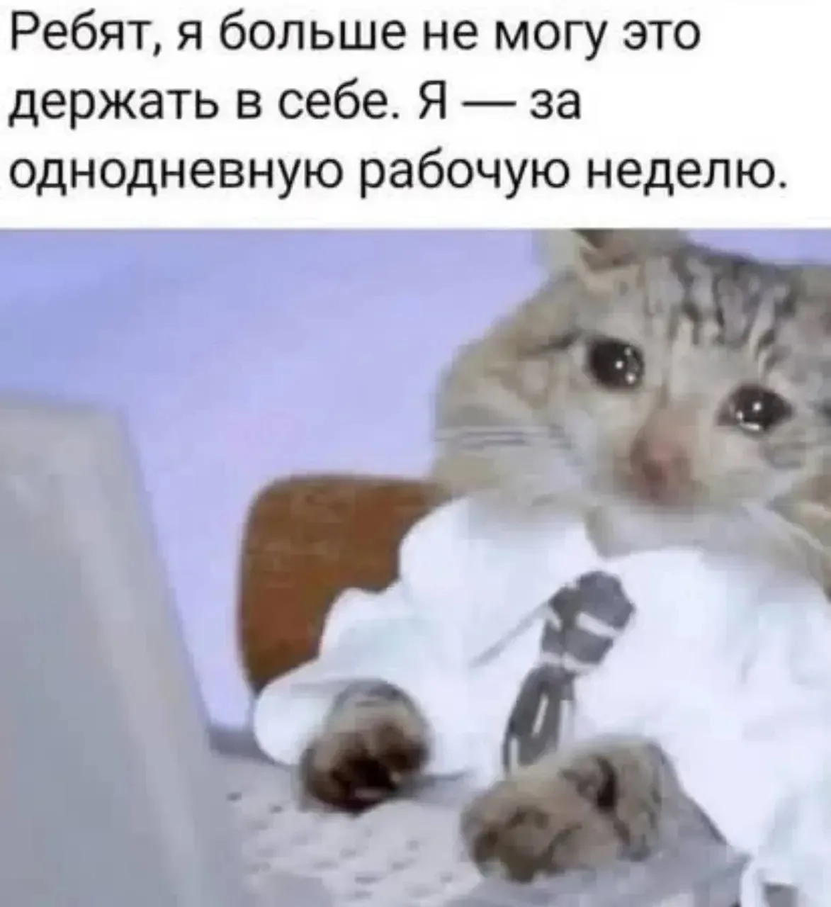 Спасибо тебе, господи, что сегодня пятница!