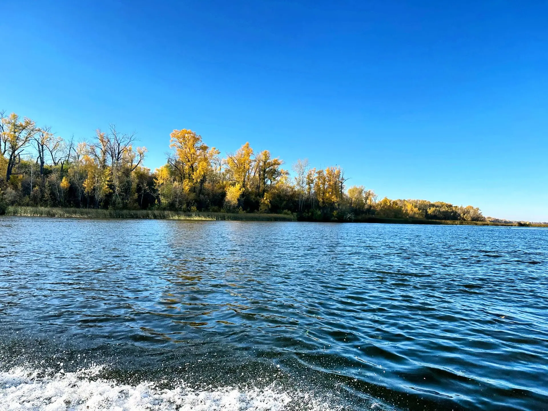 Очарование осенней Волги 🍁💞