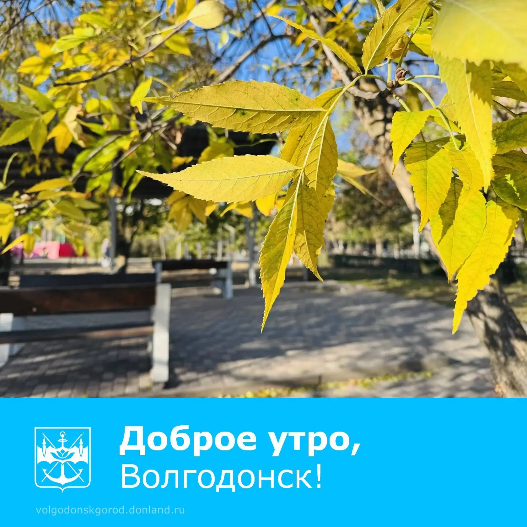 ☀️С понедельника принято начинать всё заново.
