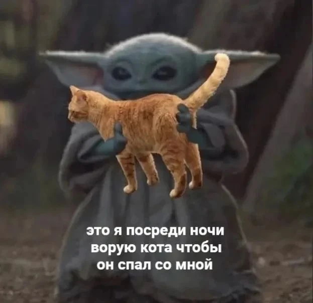 Сикалякать какыть и спать