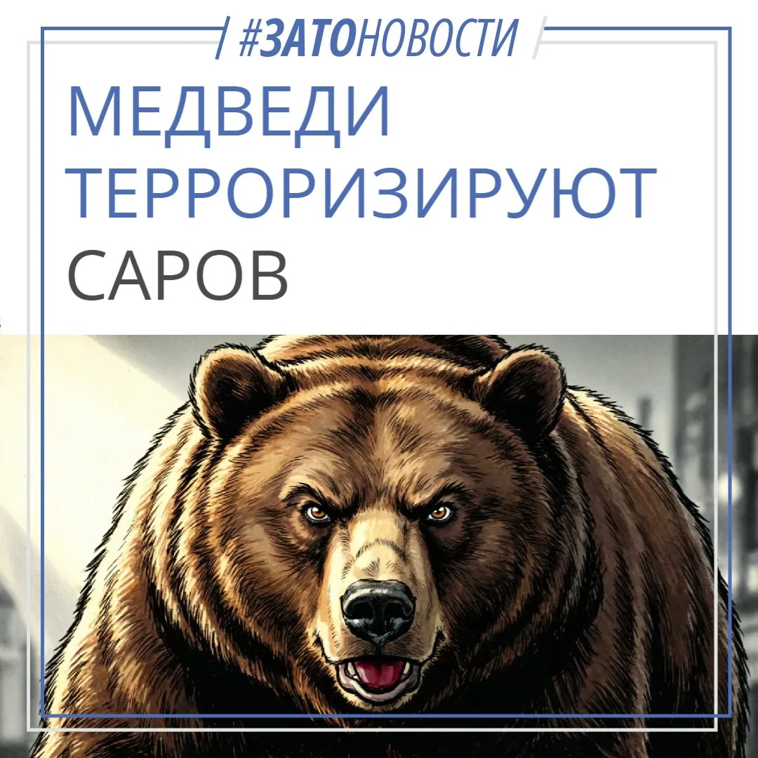Медведей в Сарове собираются отслеживать и вывозить