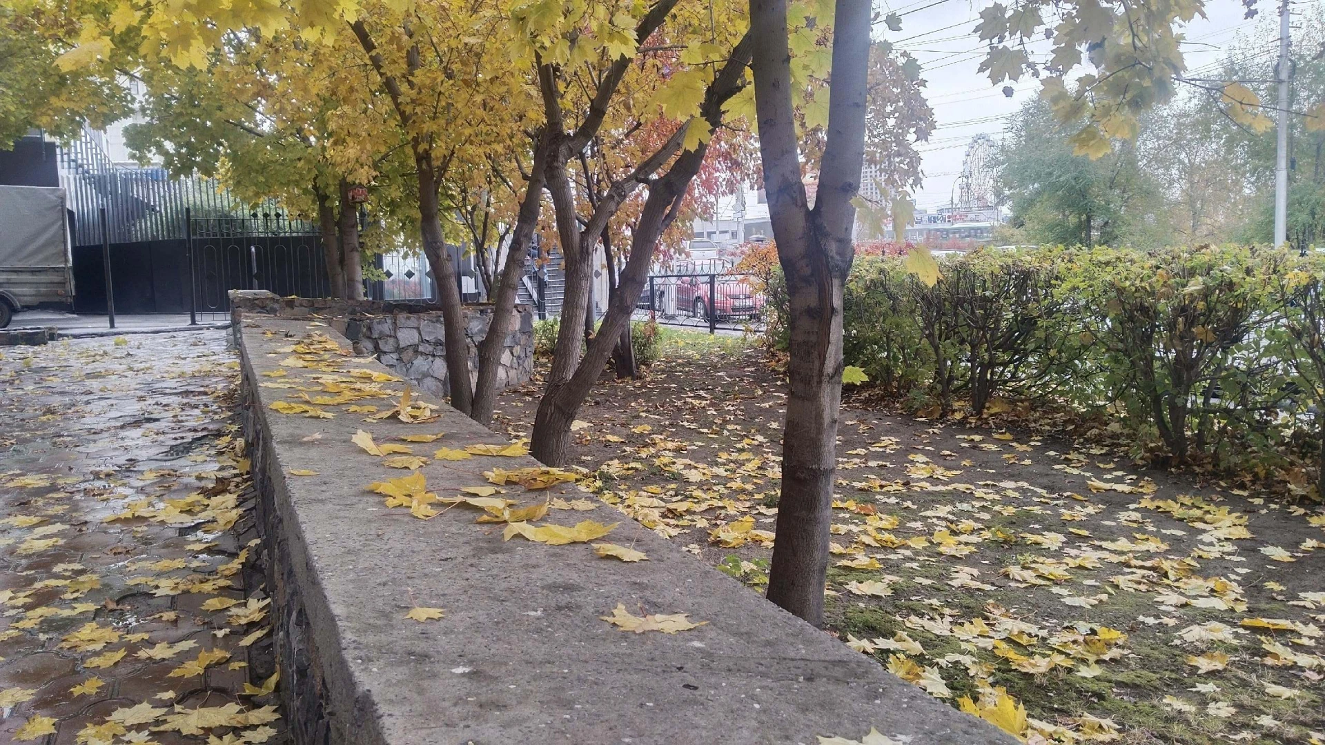 Выходные в Новосибирске будут холодными: днём не выше +2
