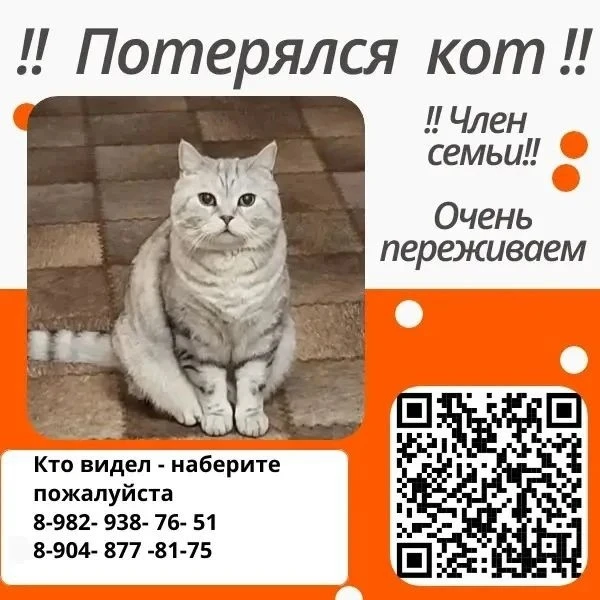 Район метелево - звенящие кедры