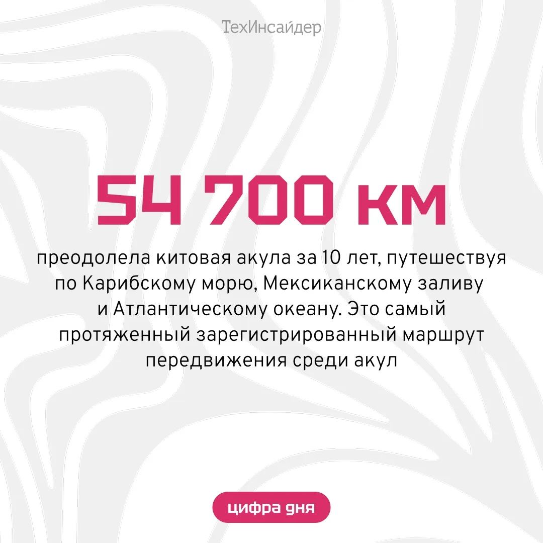 #цифра_дня