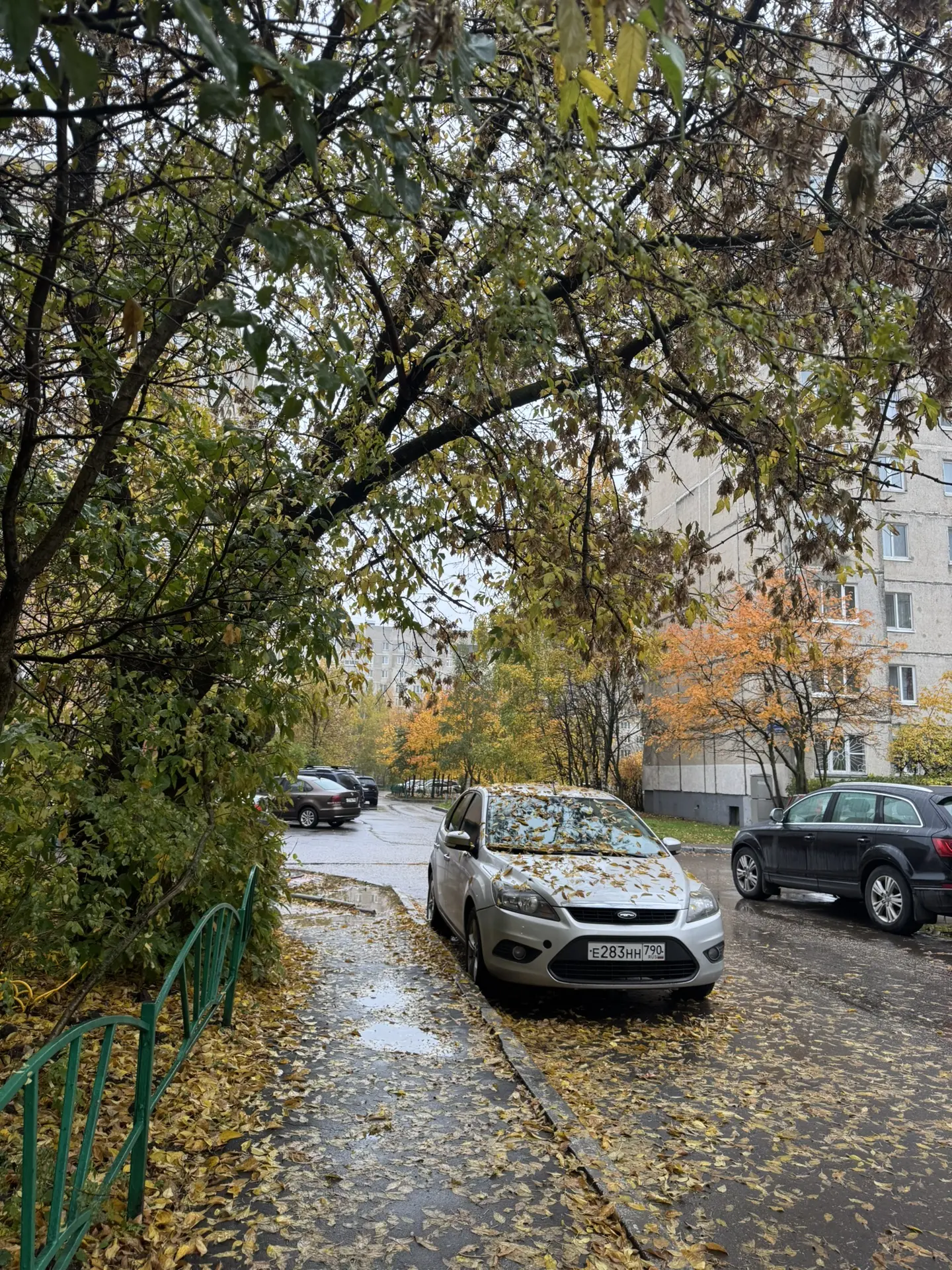 Доброе утро ☀️