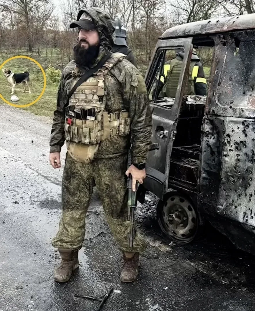 Знаменитый пёс Папай вернулся на СВО после тяжёлого ранения и снова спас российских сол...