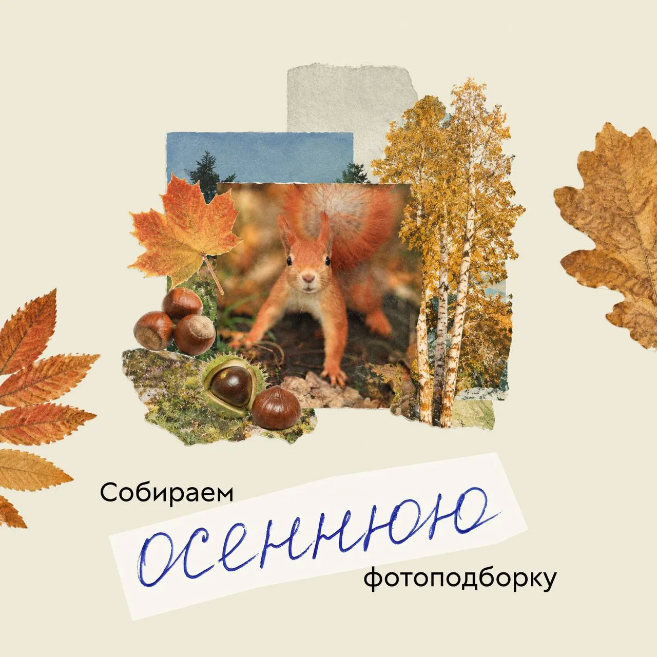 Какой вы видите эту осень?