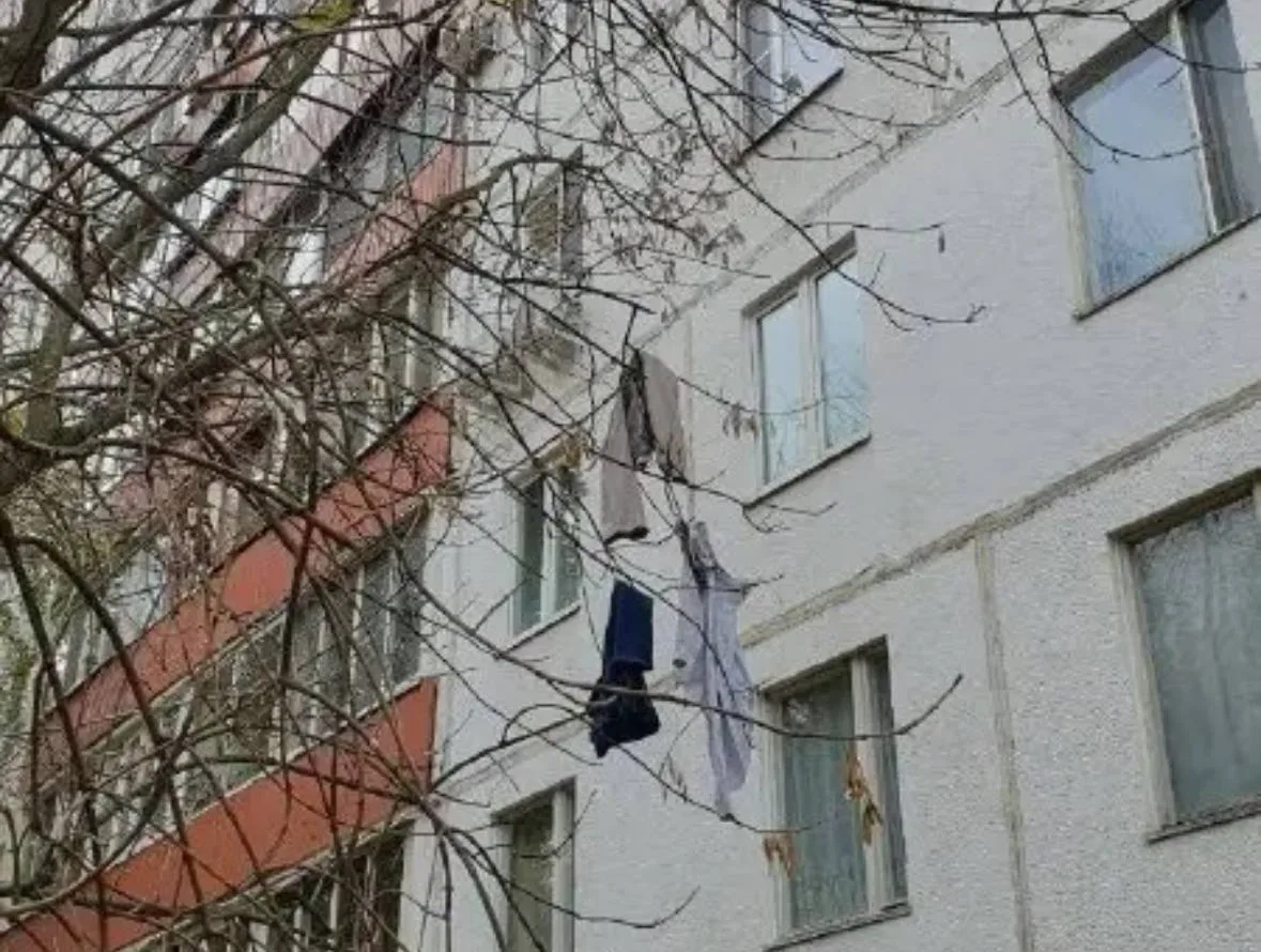 🌳 На улице Твардовского деревья снова оказались завешаны вещами