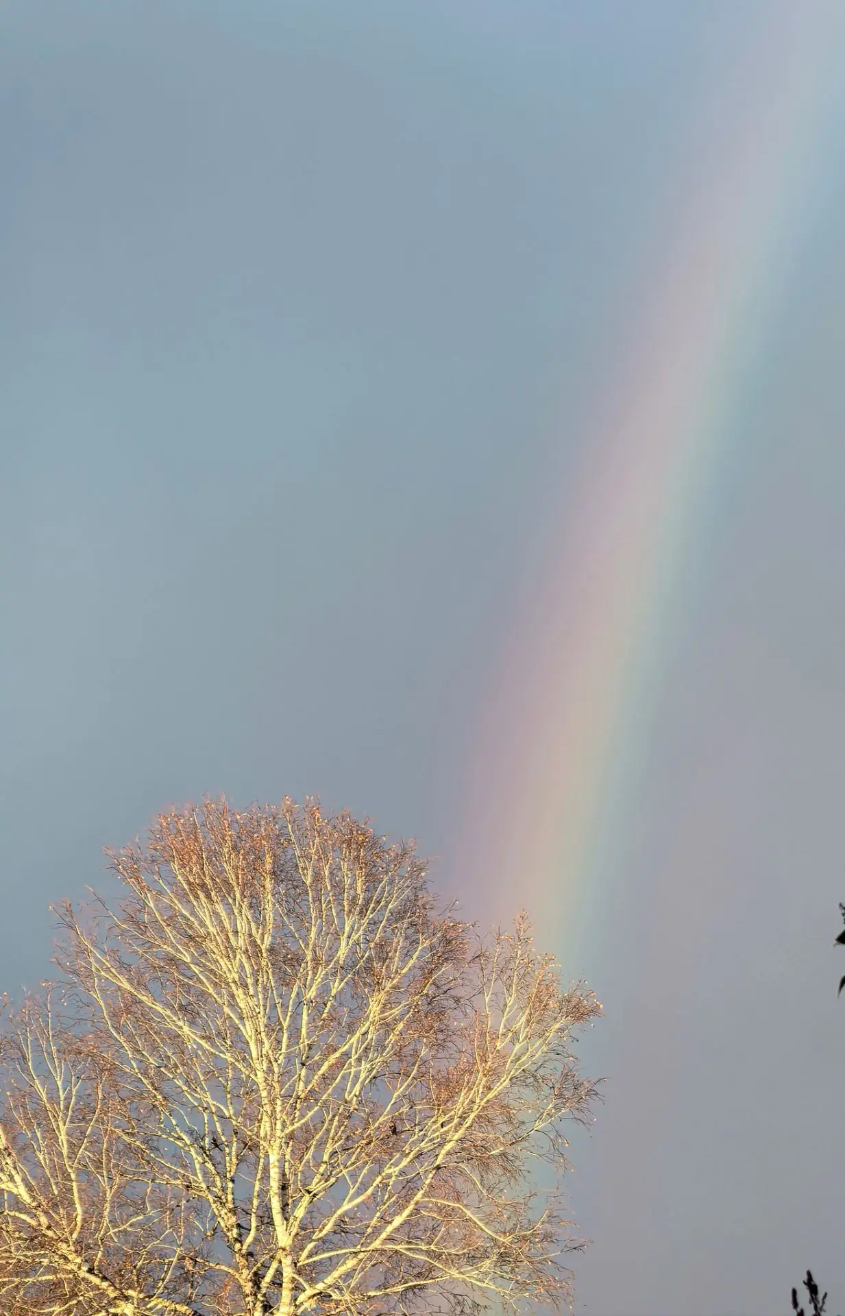 Радуга в октябре 🌈