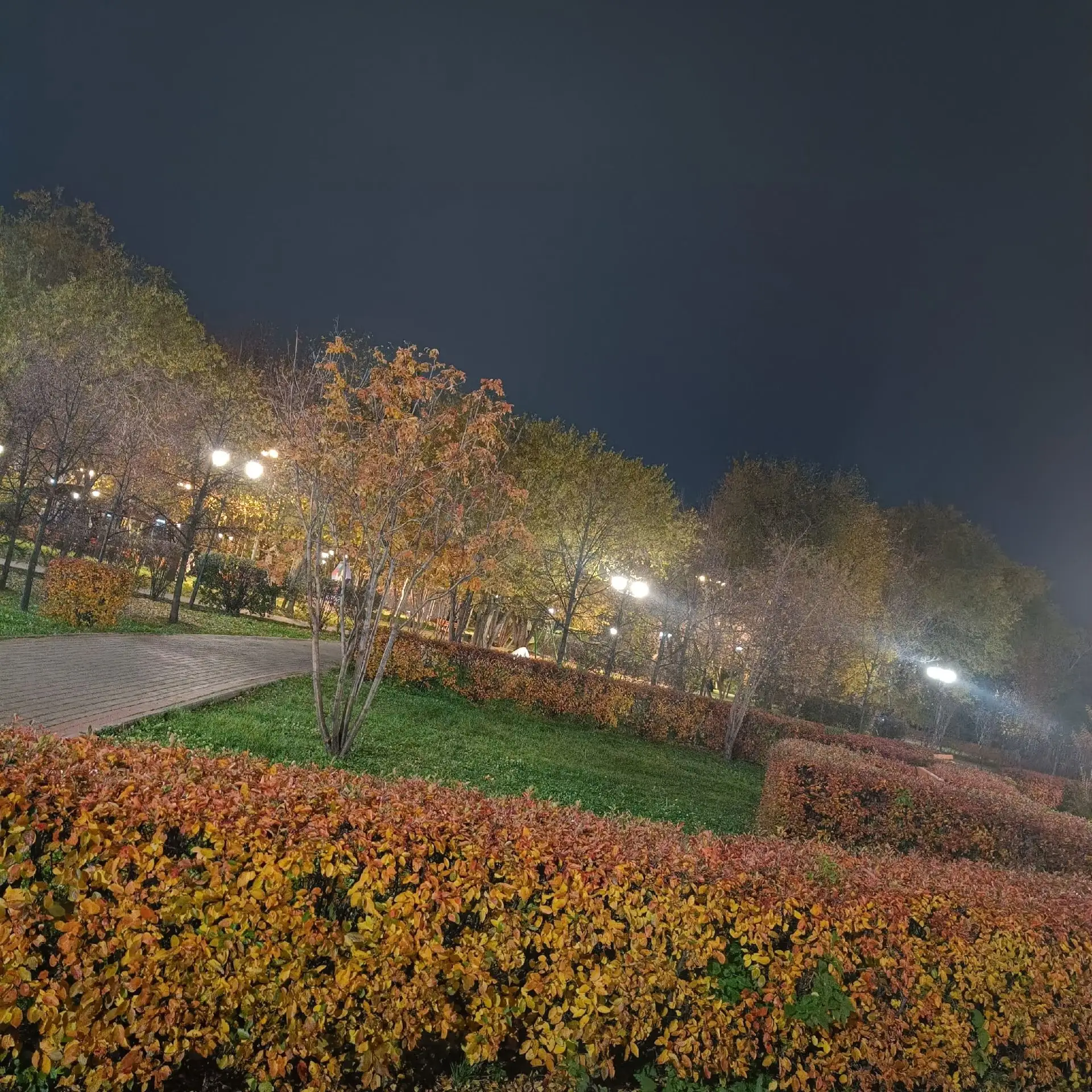 Осень в городском саду 🍂