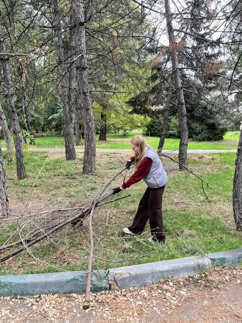 В Батайске провели очередной субботник