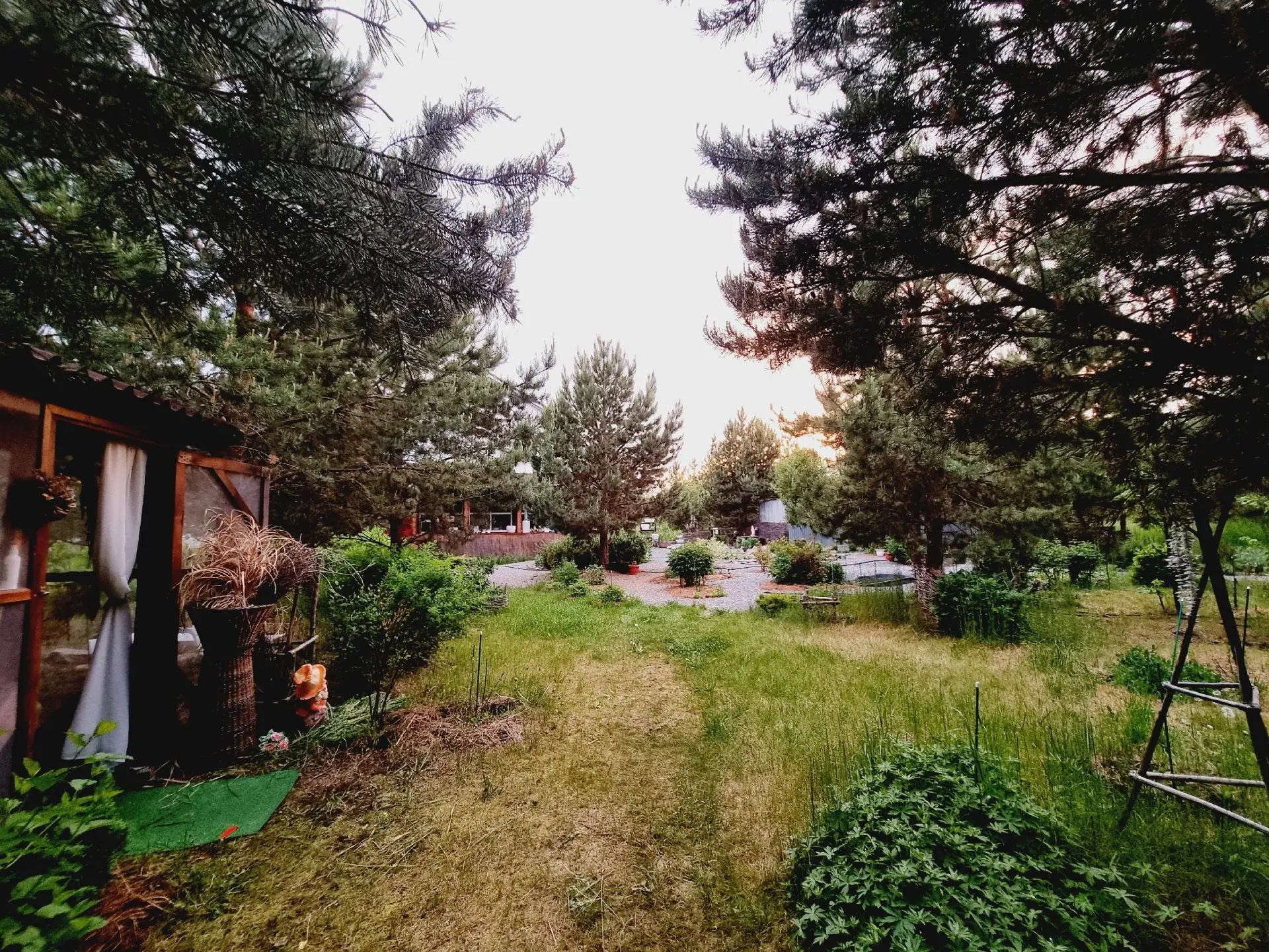 МАК-подсказка на неделю 🌿