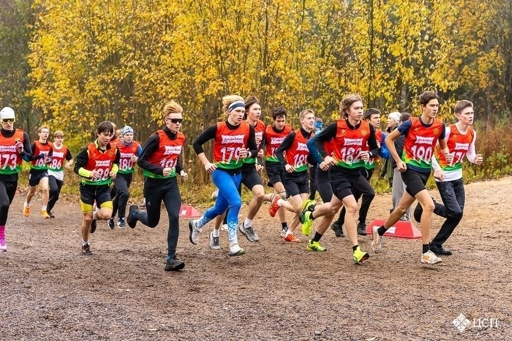 🏃‍♂️ В Петрозаводске прошёл кросс памяти Арнэ Кивекяса