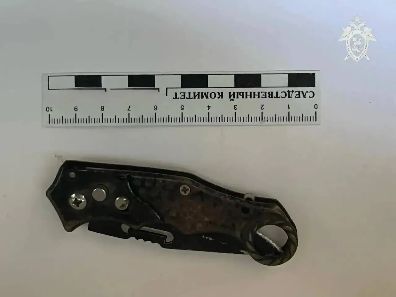 Житель Петровского района получил 7 лет строгого режима за нож в голову и вторжение в дом