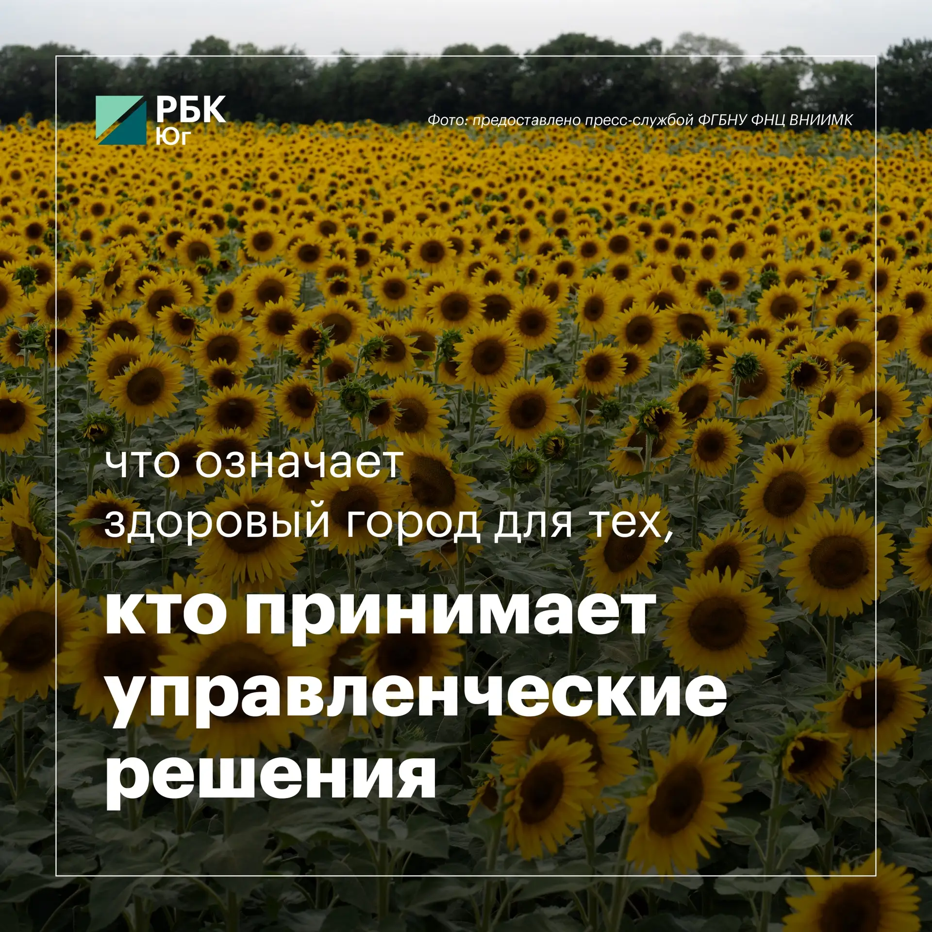 Что означает здоровый город для тех, кто принимает управленческие решения