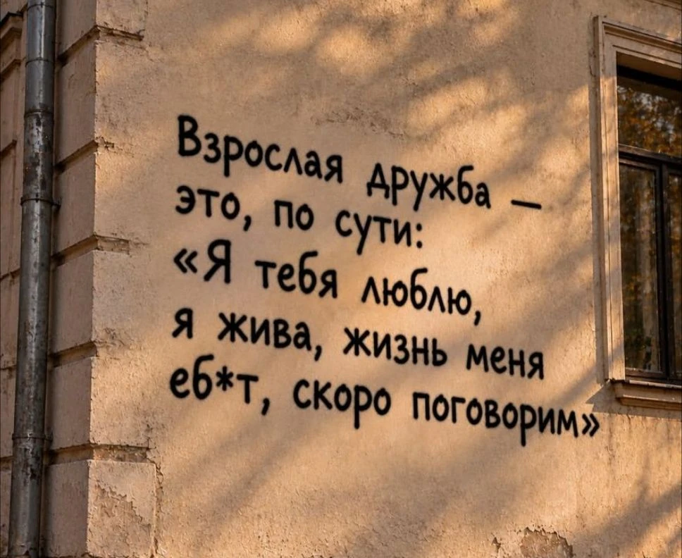 Именно так выглядит моя дружба 💯