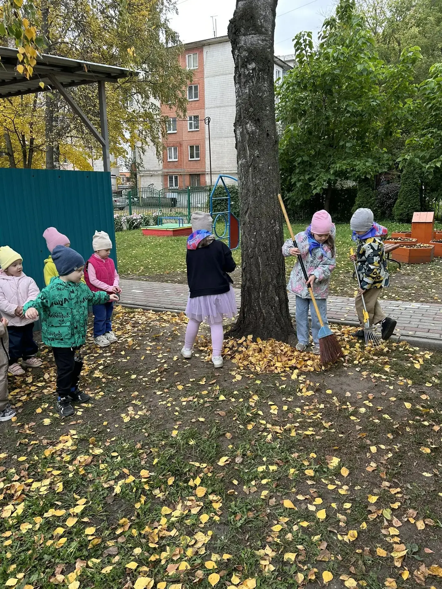 Сегодня  старшие дошкольники, наши Орлята-дошколята приняли участие в экологической акц...