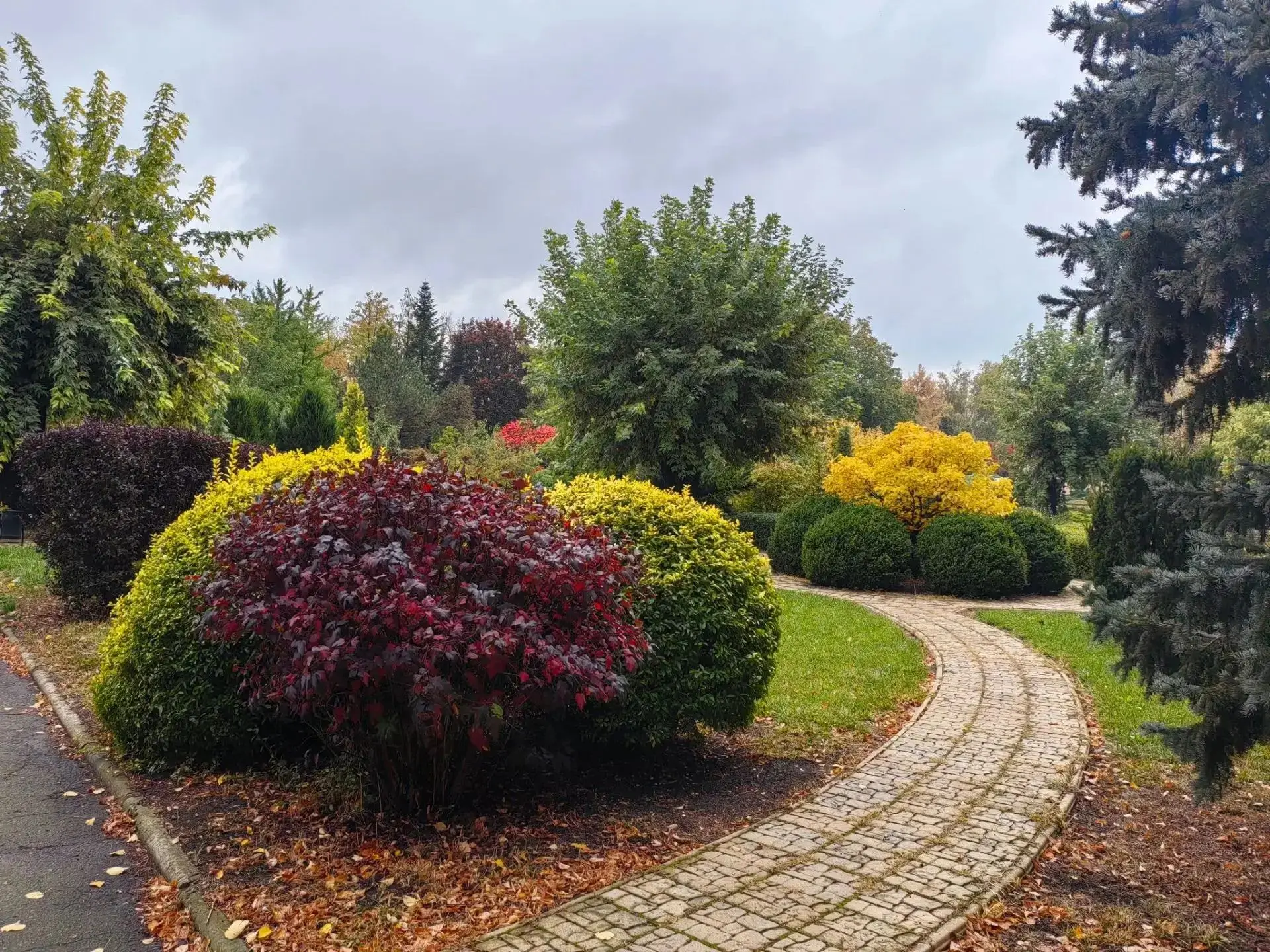 🌤 Осень не ждет: ловите мгновения в промежутках между дождиками!