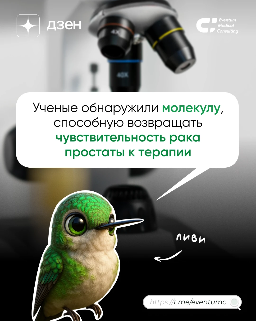 #статья #дзен