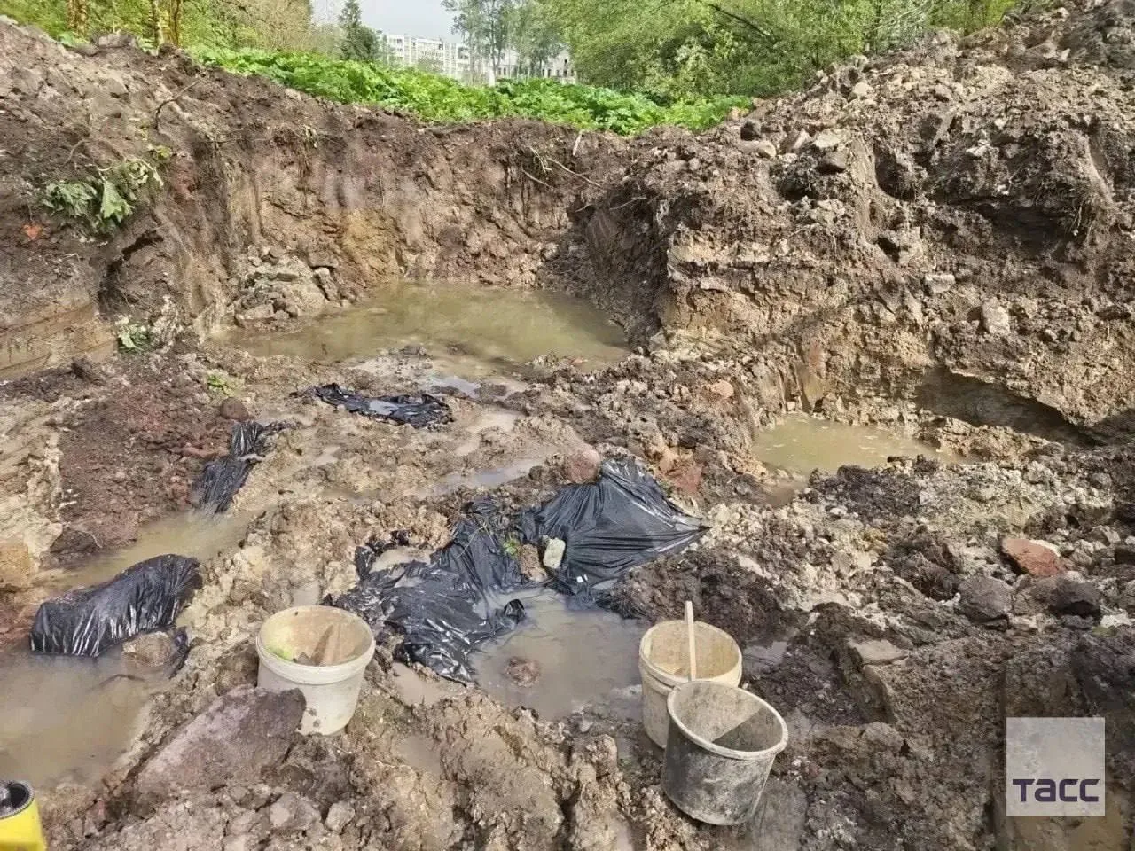 ❗️В Ленинградской области нашли массовое захоронение замученных эстонскими и немецкими ...