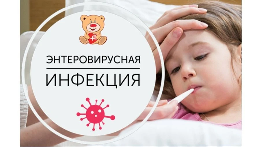 Энтеровирусная инфекция (ЭВИ) — группа острых инфекционных заболеваний, вызываемых энте...