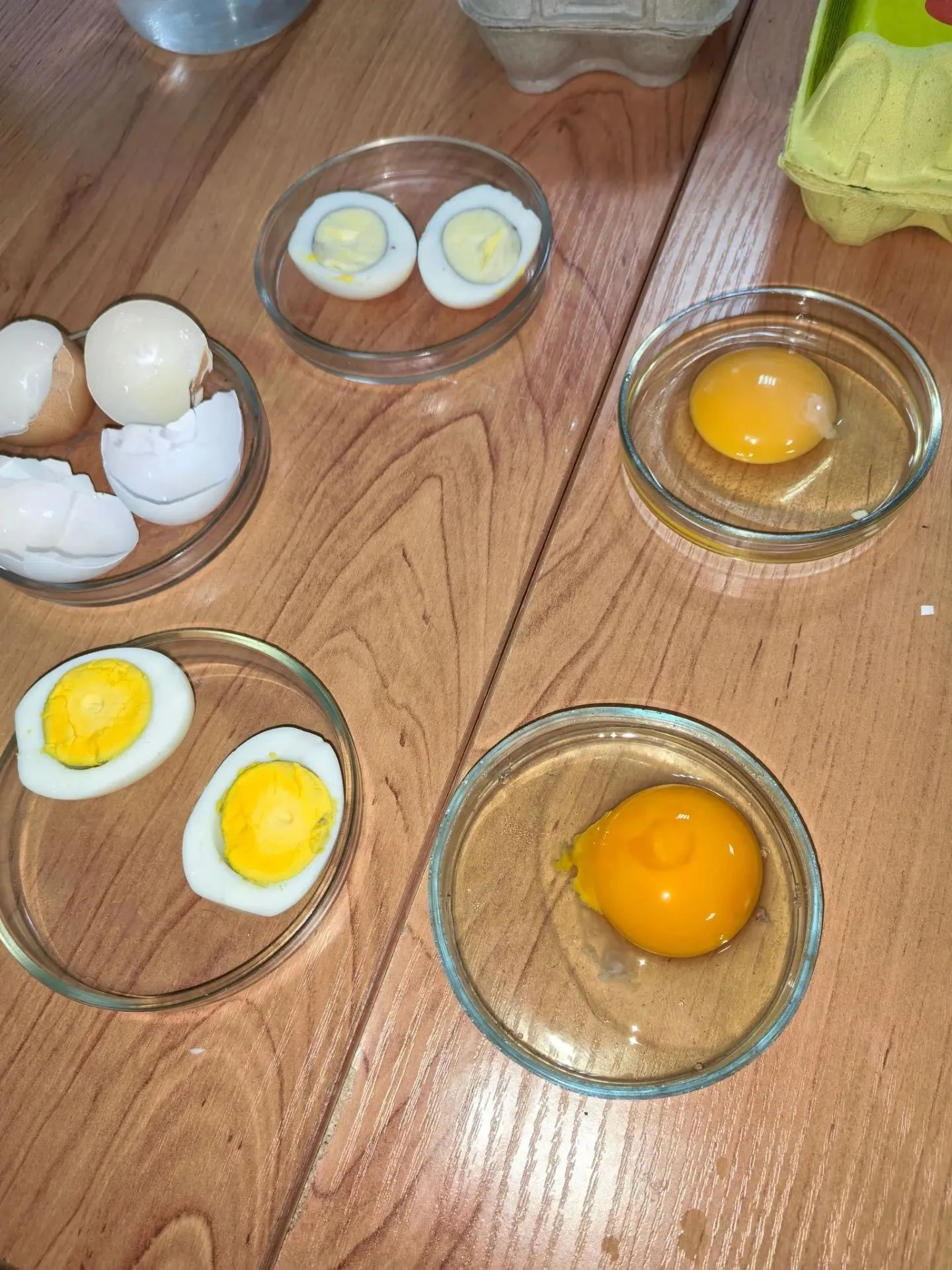 Как выбрать правильное яйцо и что скрывает скорлупа?🥚