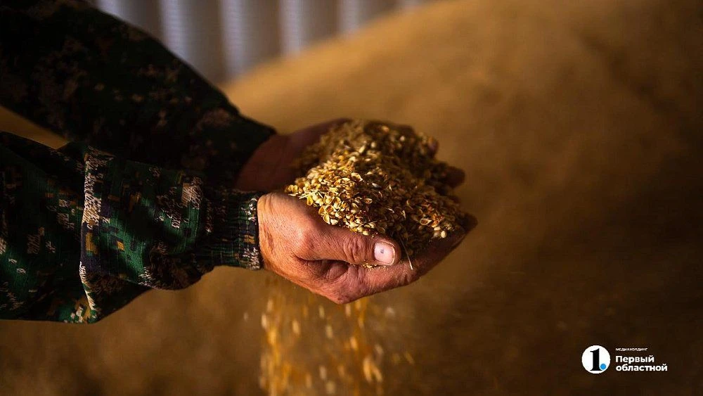 🌾В Челябинской области отмечают день работника сельского хозяйства