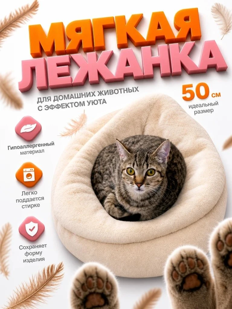 Из обычного фото — в продающую карточку за пару минут 🐾