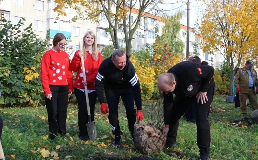 📌В новомосковском сквере высадили молодые деревья