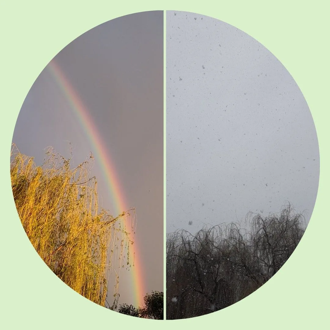 Близится к завершению наша фотоакция #ДваНастроенияСтановое ,