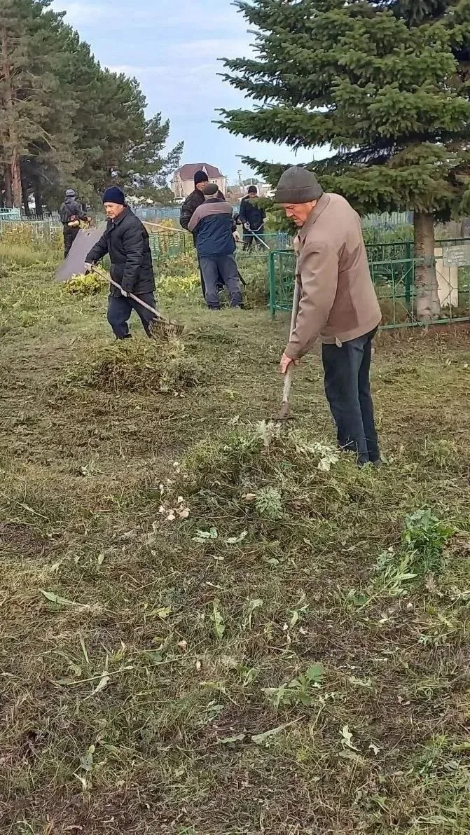 🌳 Нурлат: жители Курмыша снова взялись за косы