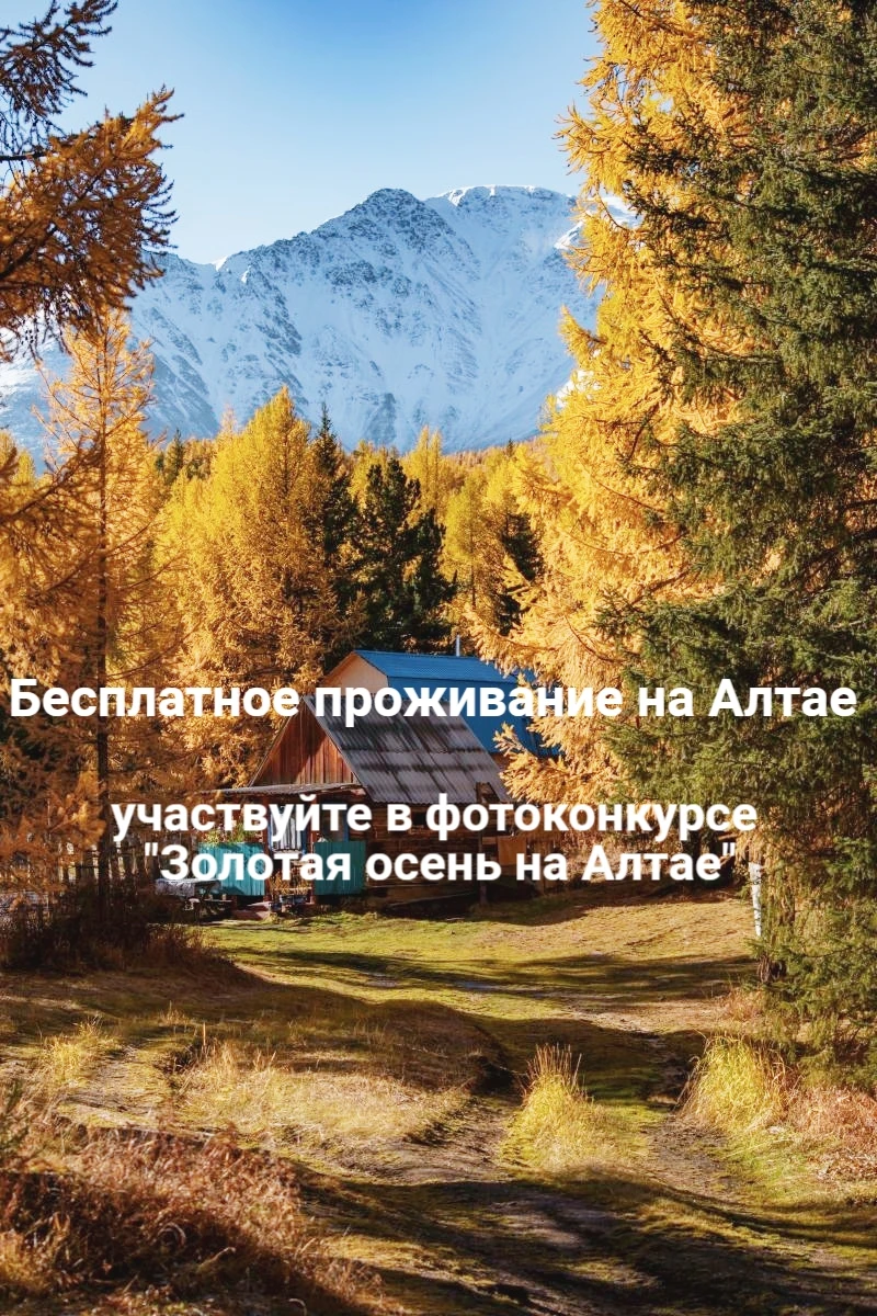 🍂 Бесплатное проживание на базах Алтая для будущих призеров фотоконкурса "Золотая осен...