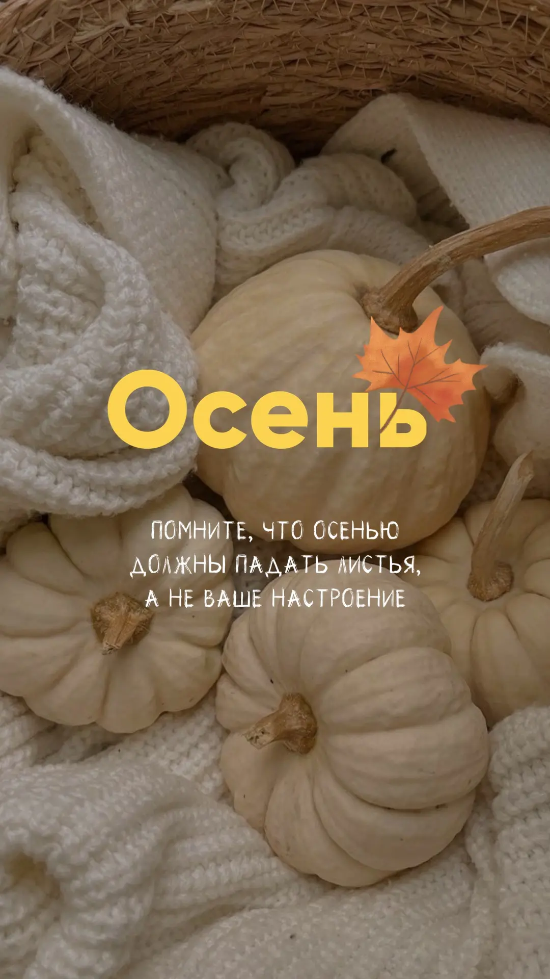 ★ БЬЮТИ КОНТЕНТ В MAX
