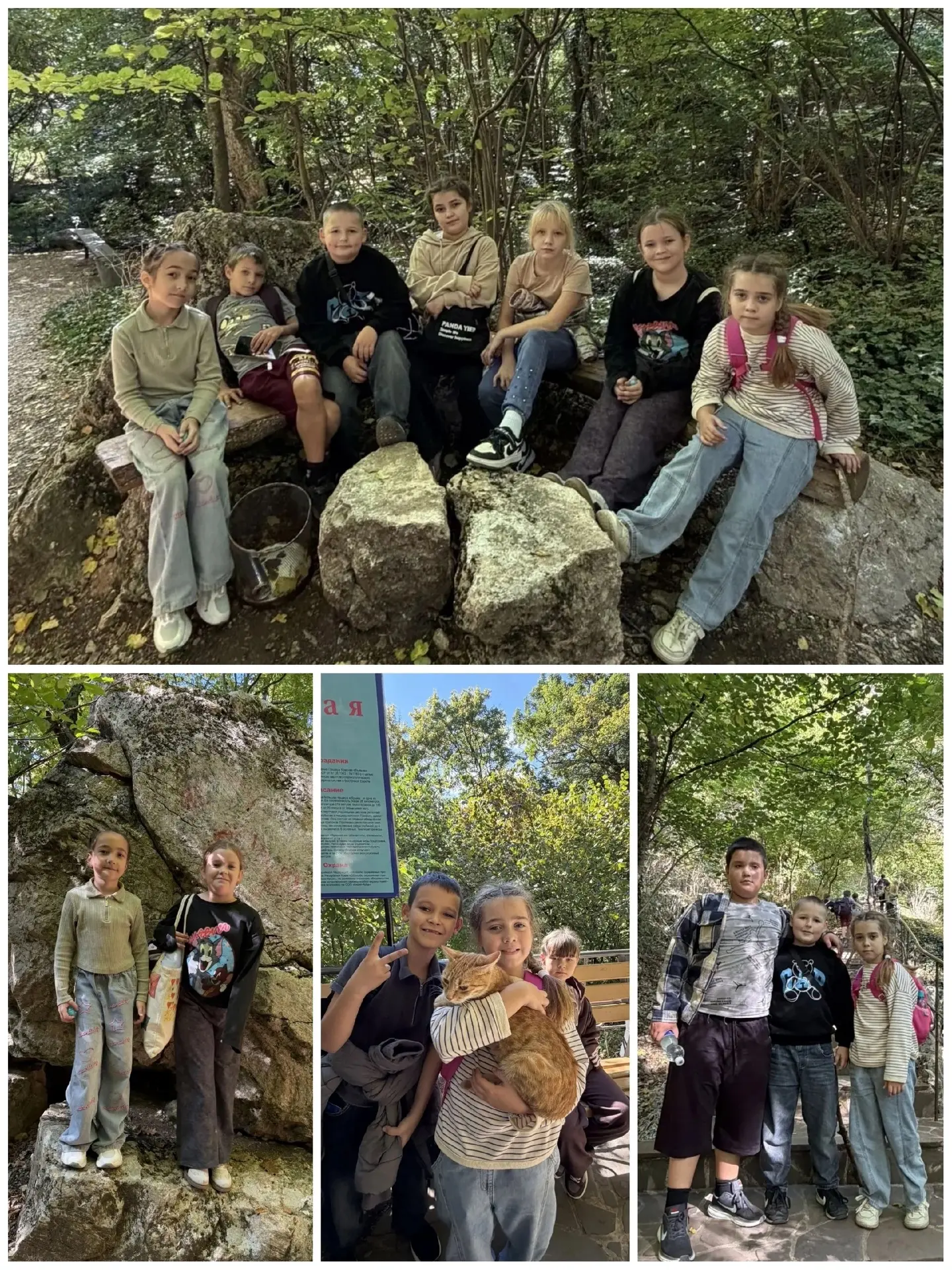🥾Неспешная прогулка по осеннему🍁лесу к водопаду Су-Учхан принесла массу удовольствия ...