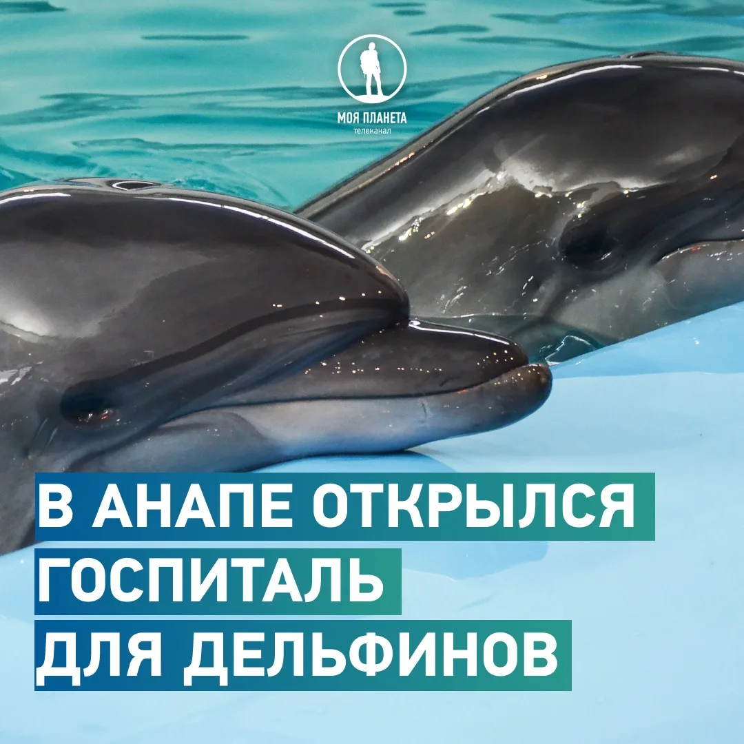 Хорошие новости, о которых мало говорят.