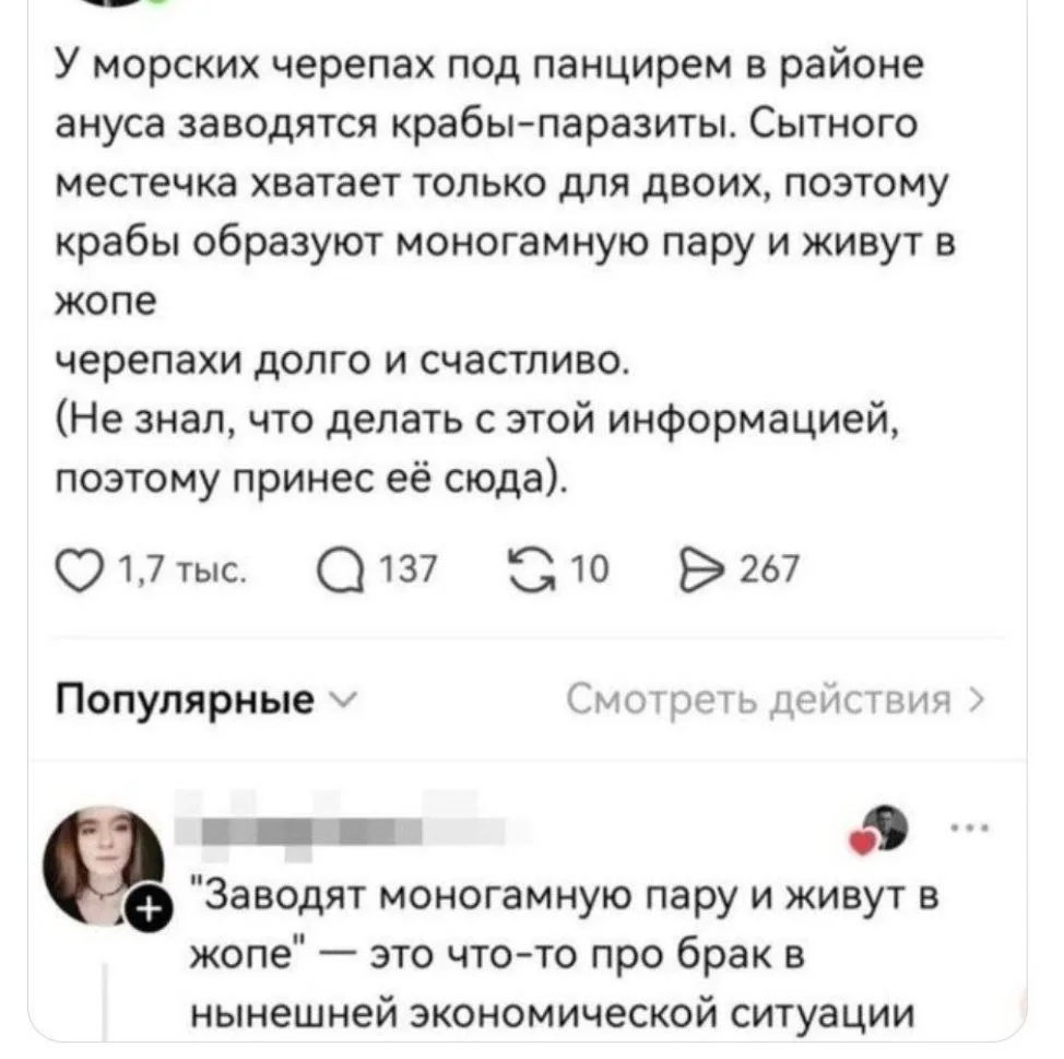 Поэтому не женюсь и не размножаюсь, потому что в жопе