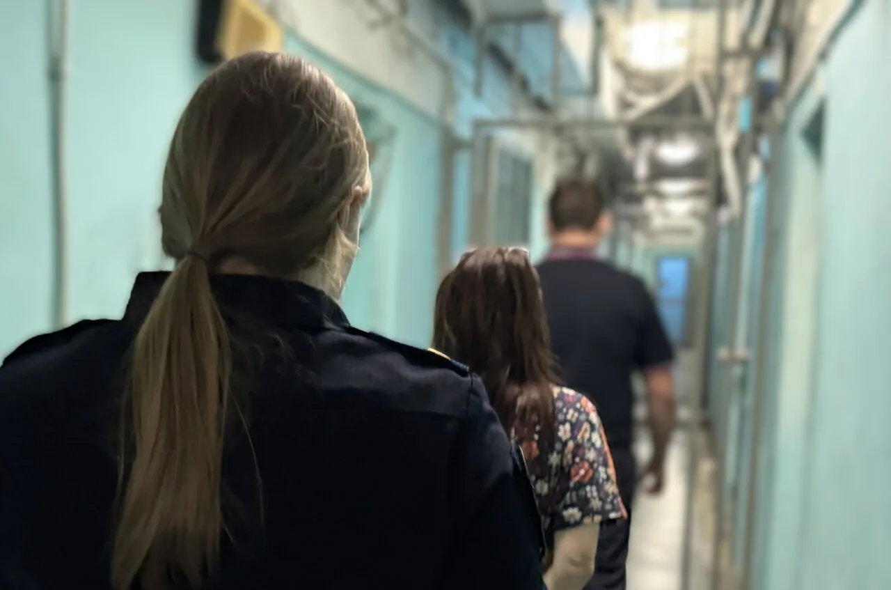 ❗ Застолье закончилось ножом в грудь: в Каменске-Уральском задержали женщину-рецидивистку