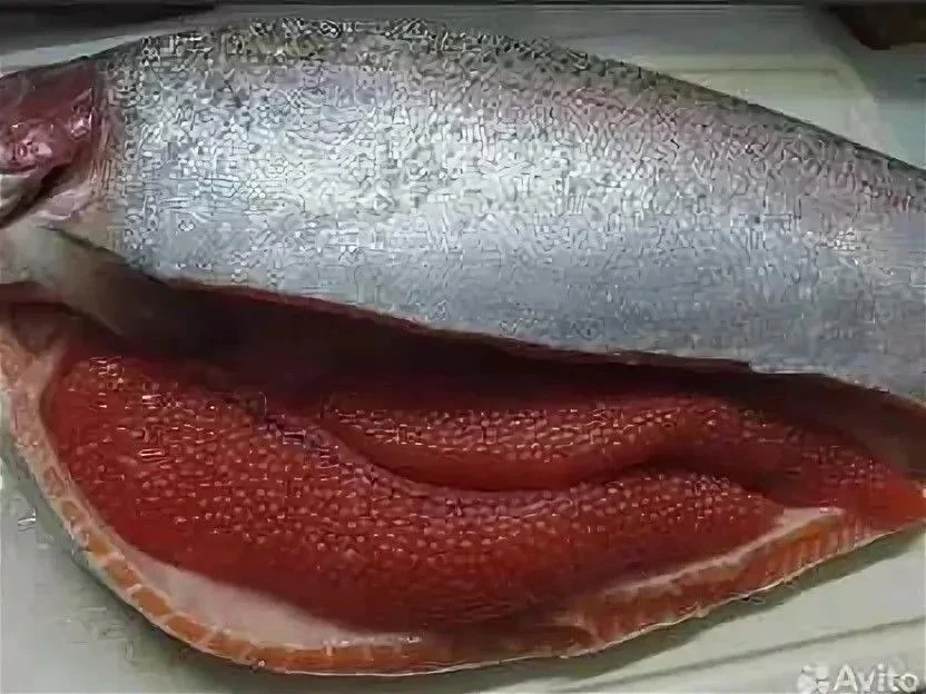 «Морская Лавка» — это ваш надежный поставщик свежей рыбки и морепродуктов в Мытищи и  П...