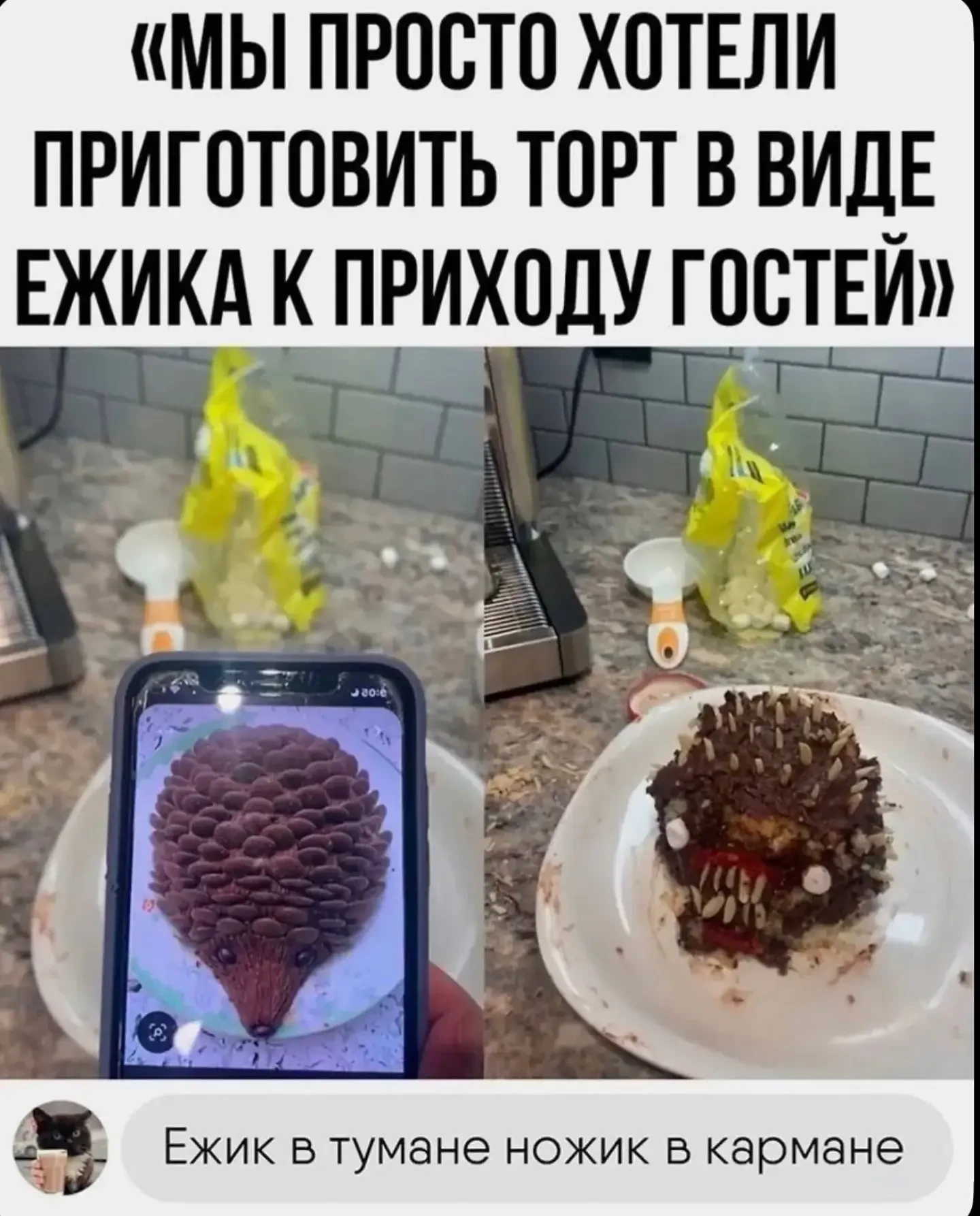 Спасибо за реакции — очень ценю!