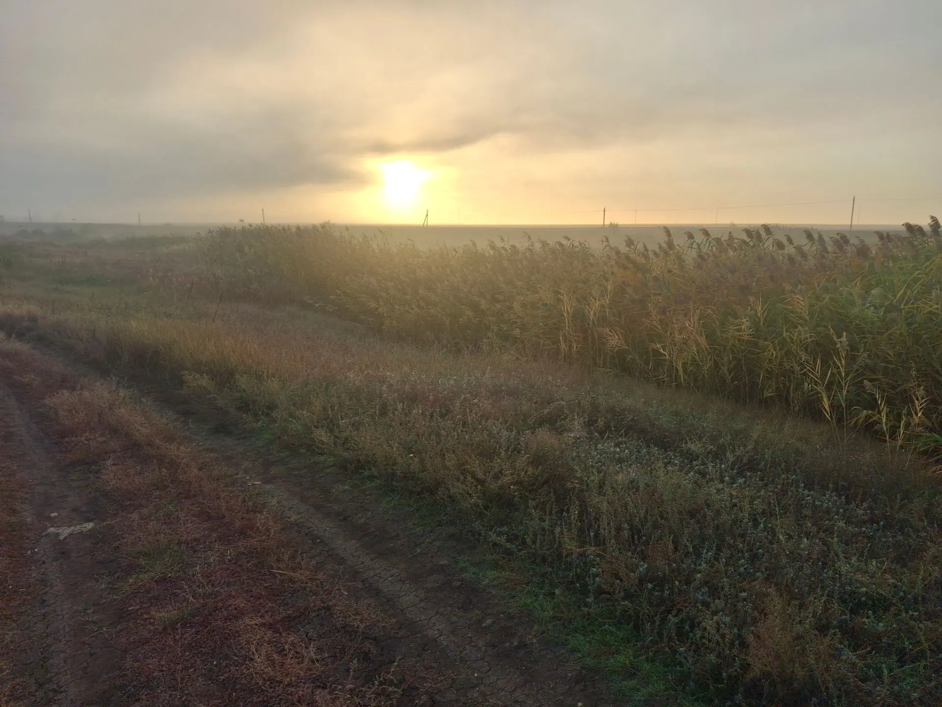 Ну как не любить осень за такие пейзажи😍🍂